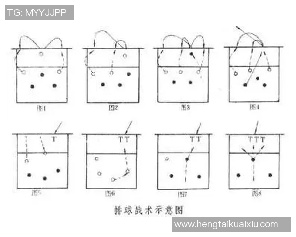 广州排球队在全国锦标赛中的灵活性表现与战术创新分析